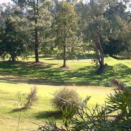 אלבורי Commercial Golf Resort מראה חיצוני תמונה