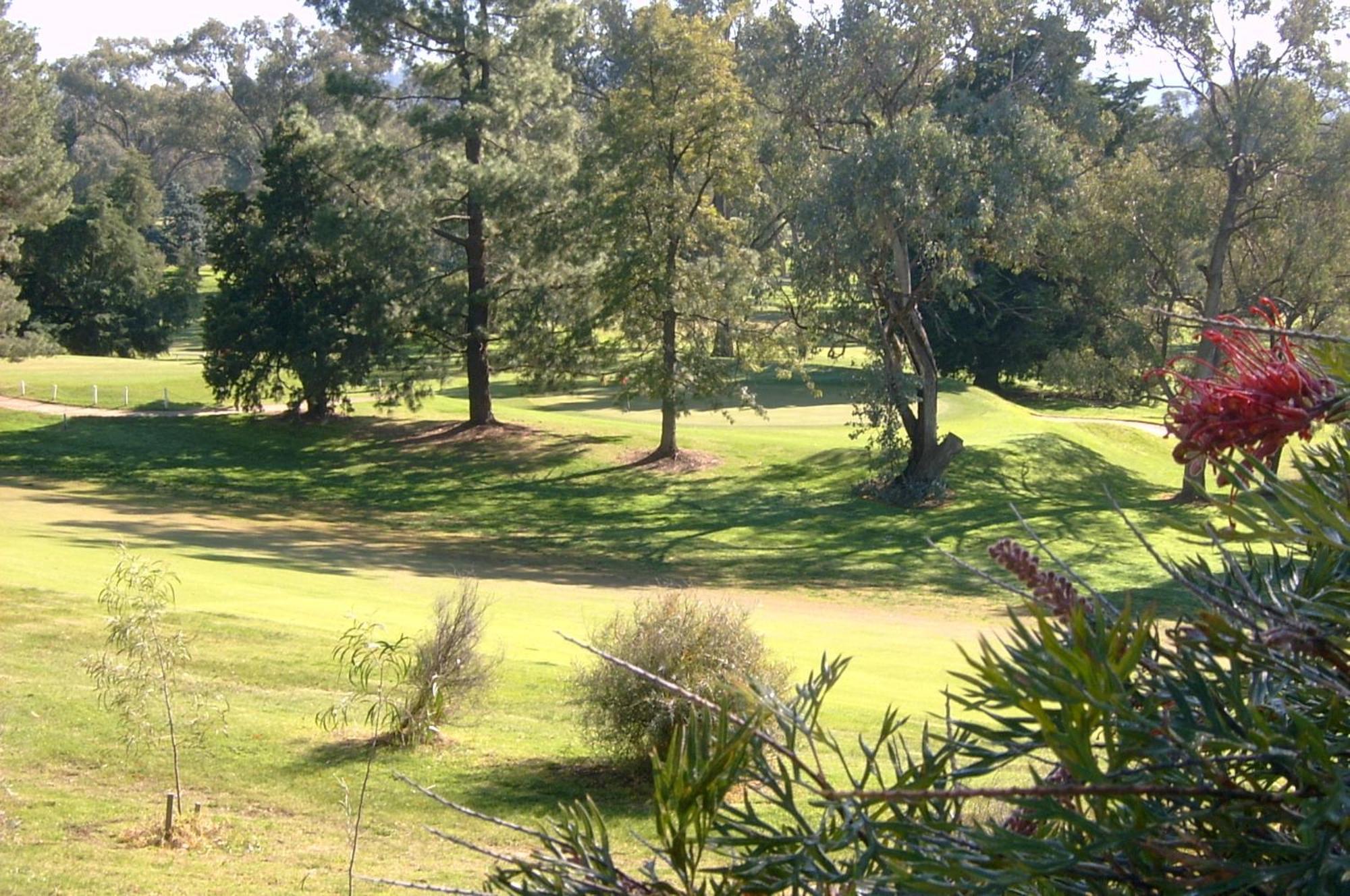 אלבורי Commercial Golf Resort מראה חיצוני תמונה